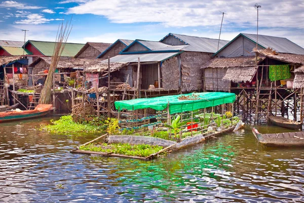 Los Huertos Flotantes Pueblo Flotante Lago Tonle Sap Camboya — Foto de Stock