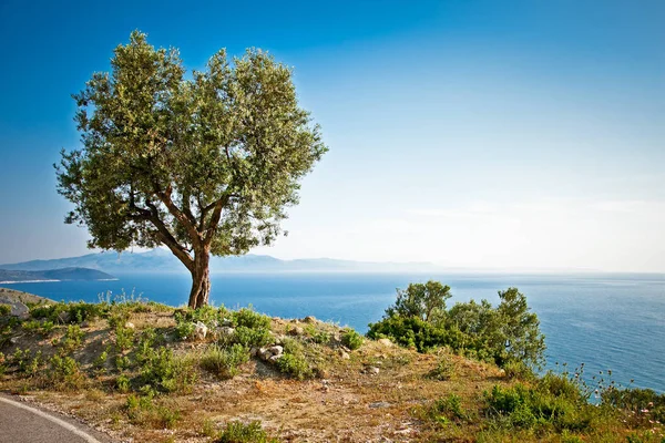 Vacker Panoramautsikt Över Joniska Havet Lukova Albanien — Stockfoto