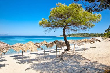 Akra Glarokavos 'taki güzel Paradiso kumsal, Kassandra yarımadası, Hakidiki, Yunanistan.