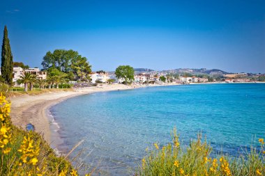 Kassandra yarımadasındaki Paralia Fourkas plajı, Halkidiki, Yunanistan.