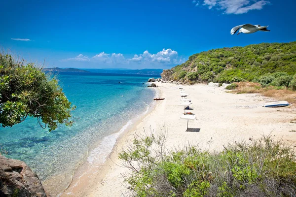 Beautiful Ouranoupolis Sandy Beach Athos Peninsula Greece — ストック写真