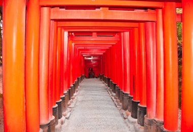 Tori kapılarında fushimi Inari tapınak Kyoto, Japonya.