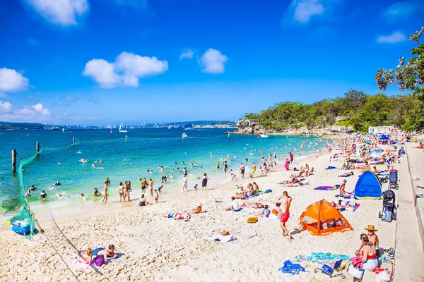 Sydney Australia Jan 2015 Menschen Entspannen Sich Hai Beach Nielsen — Stockfoto