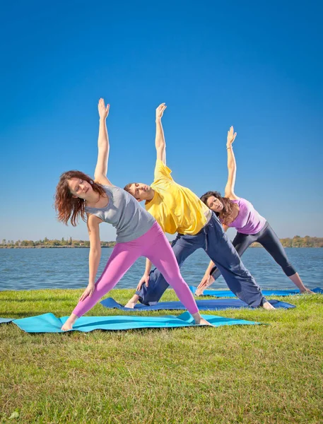 Gente Dell Albero Pratica Asana Yoga Lungolago Giorno Suny Concetto — Foto Stock