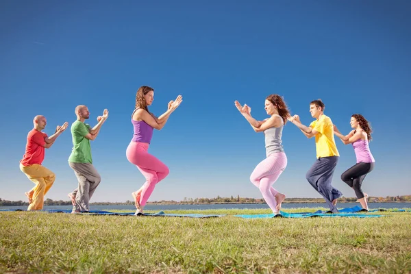 Pareja Árboles Hombre Mujer Practican Yoga Asana Orillas Del Lago — Foto de Stock