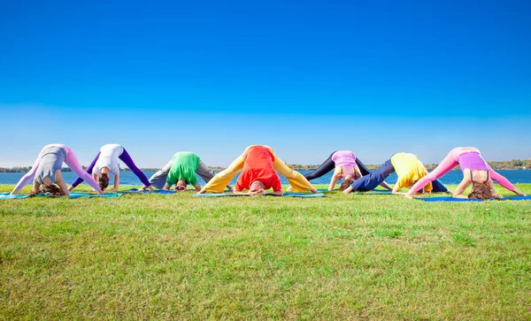 Young People Practice Yoga Asana Lakeside Yoga Concept — Stock Photo, Image