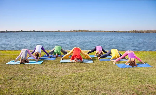 Pareja Árboles Hombre Mujer Practican Yoga Asana Orillas Del Lago —  Fotos de Stock