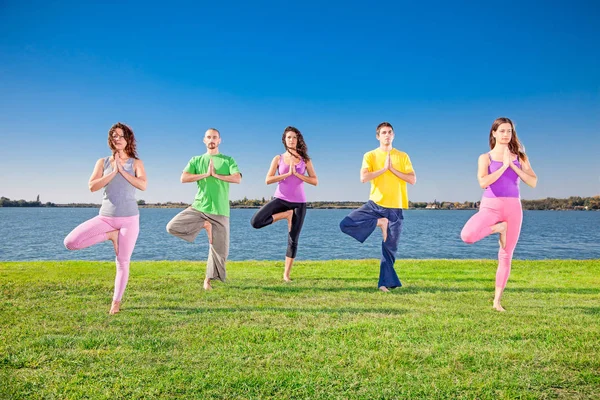 Los Jóvenes Practican Yoga Asana Orilla Del Lago Concepto Yoga — Foto de Stock