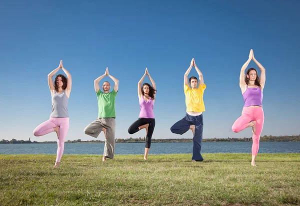 Gruptakiler Göl Kenarında Yoga Asana Çalışırlar Yoga Konsepti — Stok fotoğraf