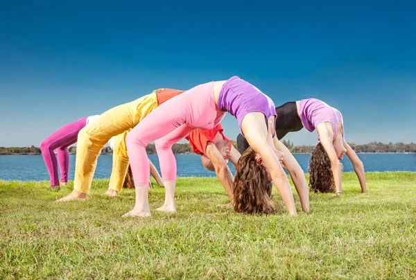 Gente Pratica Yoga Asana Sul Lungolago Nelle Giornate Sole Concetto — Foto Stock
