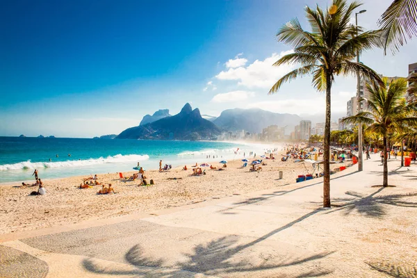 Palms and Two Brothers Mountain on Ipanema beach in Rio de Janeiro. Brazil.