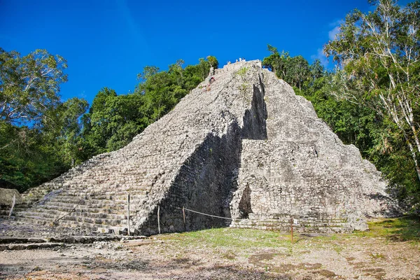 Nohoch Mul Hoogste Maya Piramide Yucatán Mexico — Stockfoto