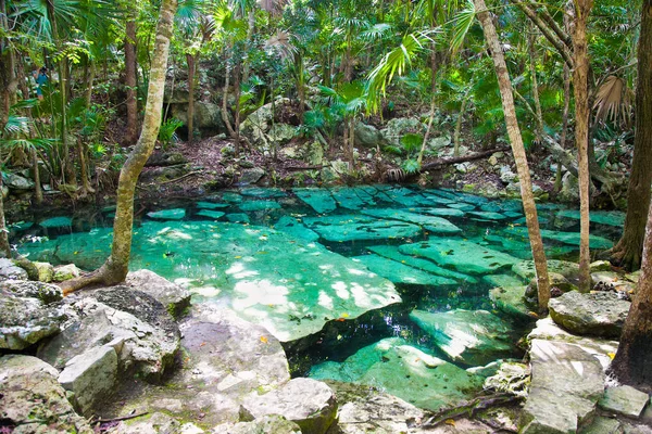 Cenote Azul Pequeño Lago Selva Maya Yucatán México — Foto de Stock
