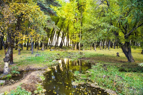 Corriente Que Corre Través Del Bosque Stepantsmida Georgia Europa —  Fotos de Stock