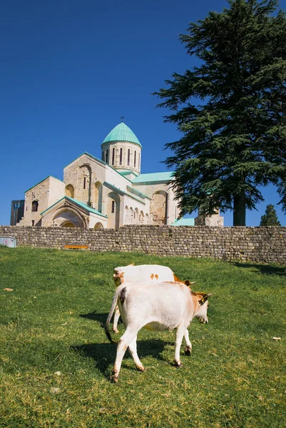 Bagrati Cathedral Cathedral Dormition Kutaisi Georgia Europe — Stock Photo, Image