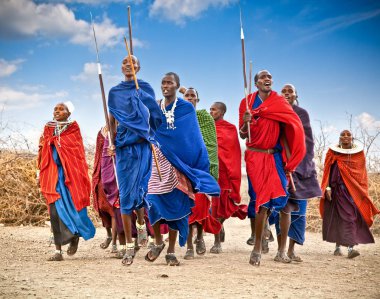 Tanzanya, Afrika-Şubat 9, 2014: kültürel töreni, 9 Şubat 2014 üzerinde yerel halkın günlük yaşamın inceleme olarak geleneksel atlar dans Masai savaşçıları. Tanzanya.