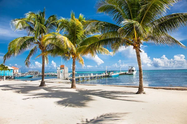 Hermosa Vista Caribeña Con Agua Turquesa Isla San Pedro Belice — Foto de Stock