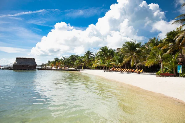 Prachtige Caribische Zicht Met Turquoise Water Eiland San Pedro Belize — Stockfoto