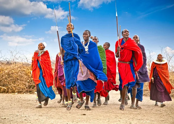 Tanzania Africa February 2014 Masai Warriors Dancing Traditional Jumps Cultural — Stock Photo, Image