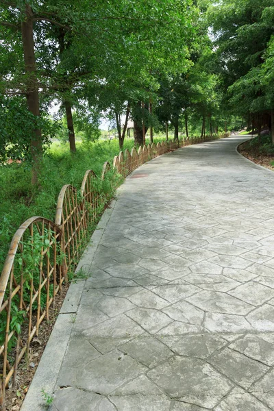 Sol tarafta çitte ile orman yolu