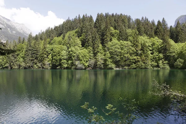 Lago Tovel Adamello Brenta Parque Natural — Fotografia de Stock