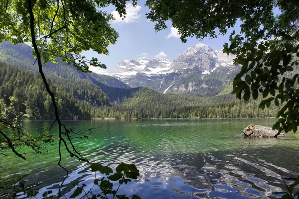 Lago Tovel Adamello Brenta Parque Natural — Fotografia de Stock