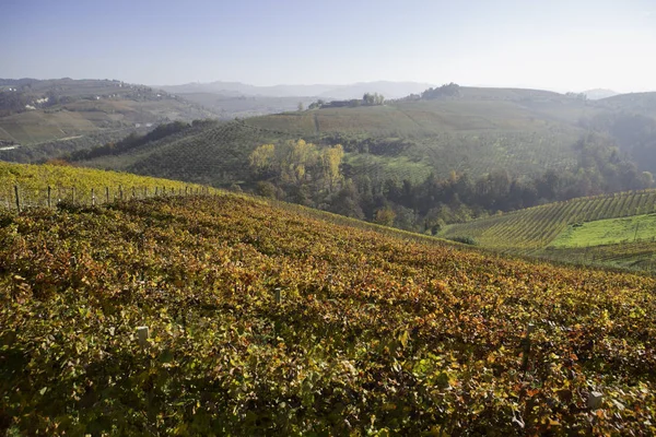 Langhe, Piedmont, İtalya, üzüm bağları tepelerde sonbahar sırasında