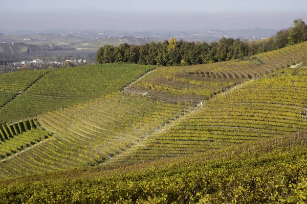 Αμπέλια Λόφους Langhe Πιεμόντε Italy Κατά Διάρκεια Του Φθινοπώρου — Φωτογραφία Αρχείου