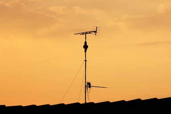 Antena silhueta nascer do sol — Fotografia de Stock