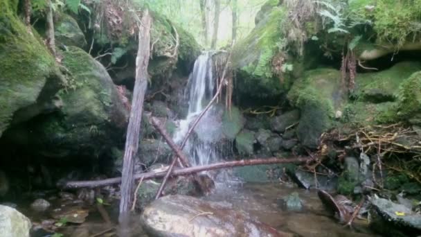 Cascada en Piamonte — Vídeo de stock