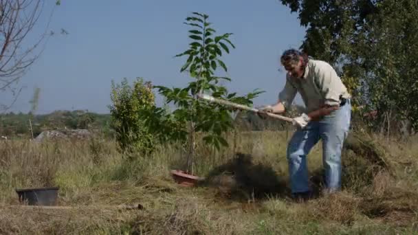 Gärtner pflanzt Baum — Stockvideo