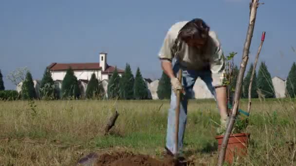 Trädgårdsmästare stolpsättning träd — Stockvideo
