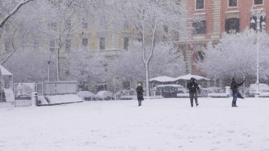 Roma'da kar