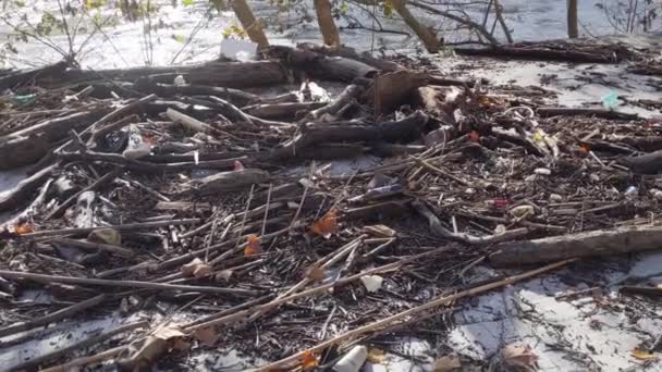 Πλημμύρες Μετά Από Δυνατή Βροχή Ποταμός Τίβερης Νησί Τιβερίν Στη — Αρχείο Βίντεο