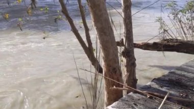 Şiddetli yağmurun ardından Roma, İtalya 'daki Tiber Nehri, Tiberine Adası sel altında