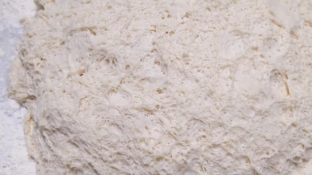 淀粉面筋在面包面团上的净发酵 — 图库视频影像