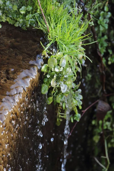 Gras en rotsen waterval — Stockfoto