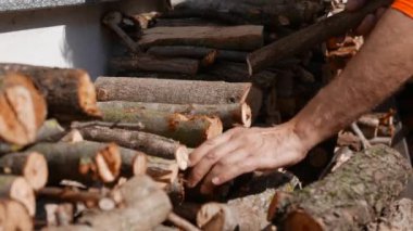 Adam kış mevsimi için odun yığıyor.