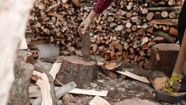 斧を持った男が薪を切る — ストック動画