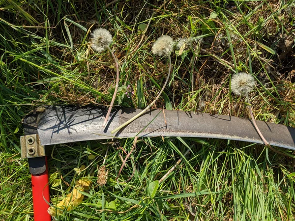 Çimleri Geleneksel Bir Şekilde Tırpanla Biçmek — Stok fotoğraf