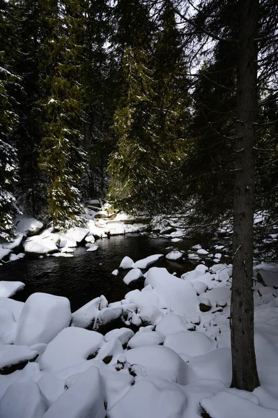 Βοημίας Δάσος Εθνικό Πάρκο Χειμώνας Ποταμός Vydra — Φωτογραφία Αρχείου