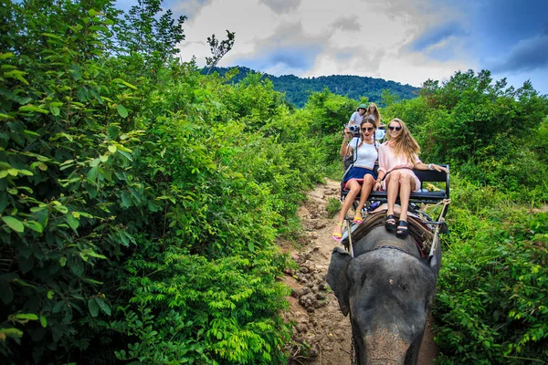 Turisté na koni sloni džunglí — Stock fotografie