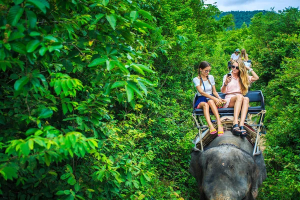 ジャングルの中を象に乗っての観光客 — ストック写真