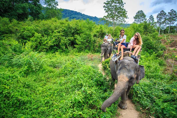 Fil sürme turist grup — Stok fotoğraf