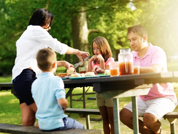 Family Four Eating Barbecue Cookout — Stock Photo, Image