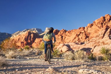Red Rock Canyon Parkı 'nda bisiklet süren Afro-Amerikan kadını