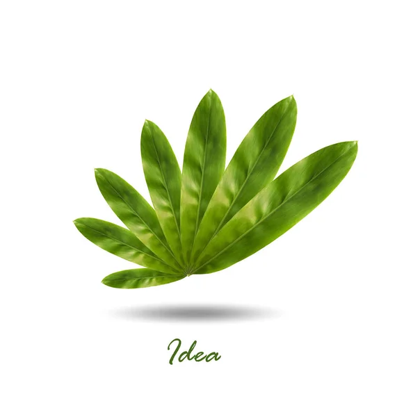 Eco ikonen gröna blad — Stockfoto