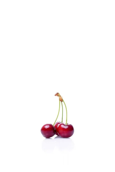 Cerises Isolées Sur Fond Blanc — Photo