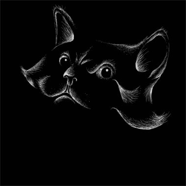 Dövme ya da tişört tasarımı için logo kedisi. Sevimli yazdırma tarzı kedi arkaplanı. 