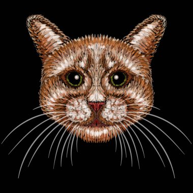 Dövme ya da tişört tasarımı için logo kedisi.